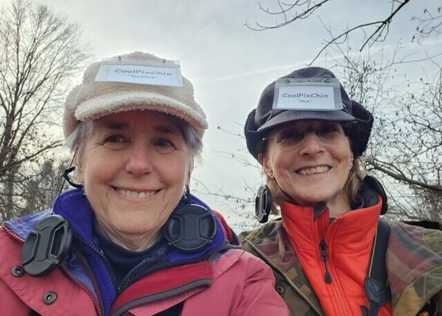 c1f355d6-951d-4a92-a4e2-d4900baf3059